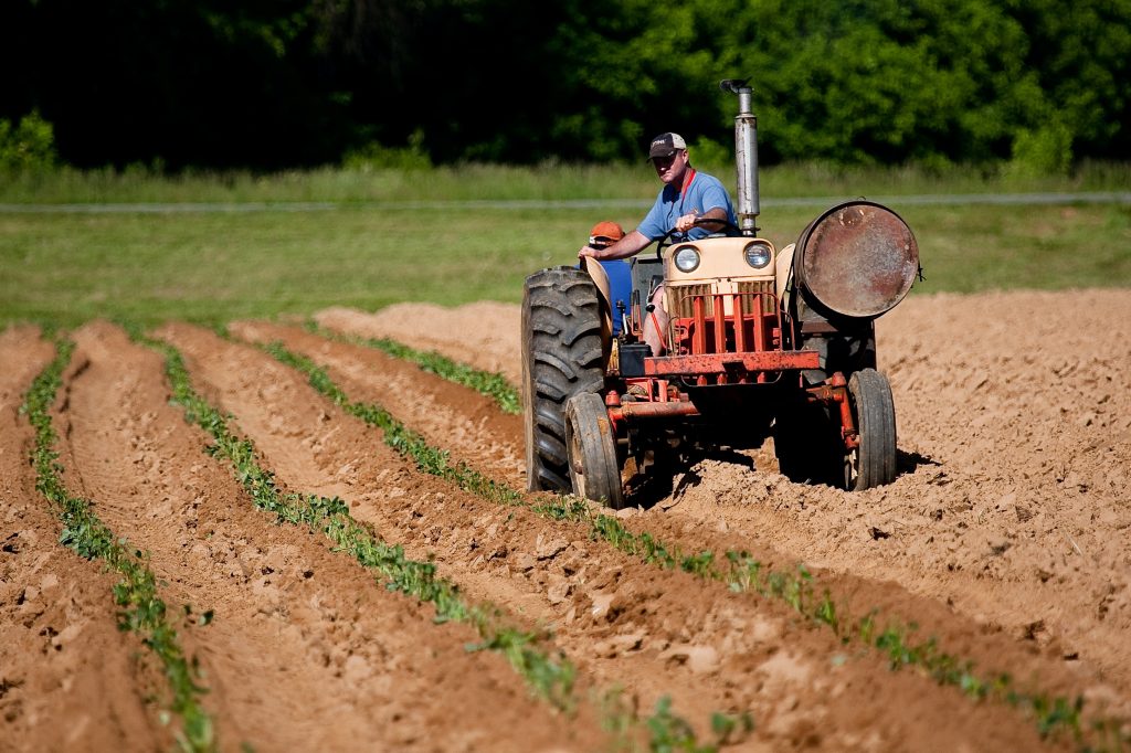 Agriculture & élevage