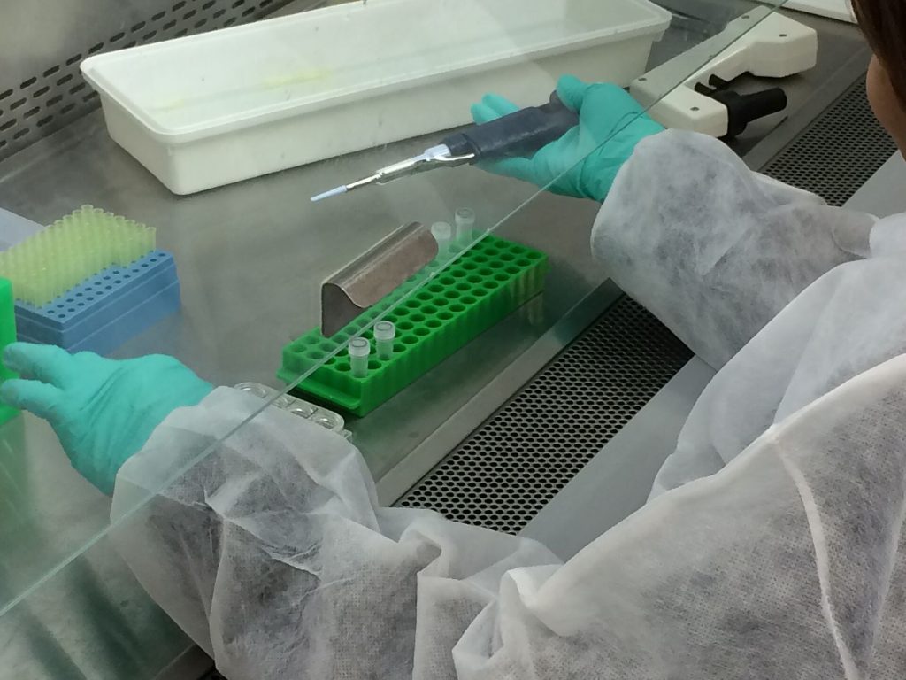 Analyse en laboratoire, mains gantées