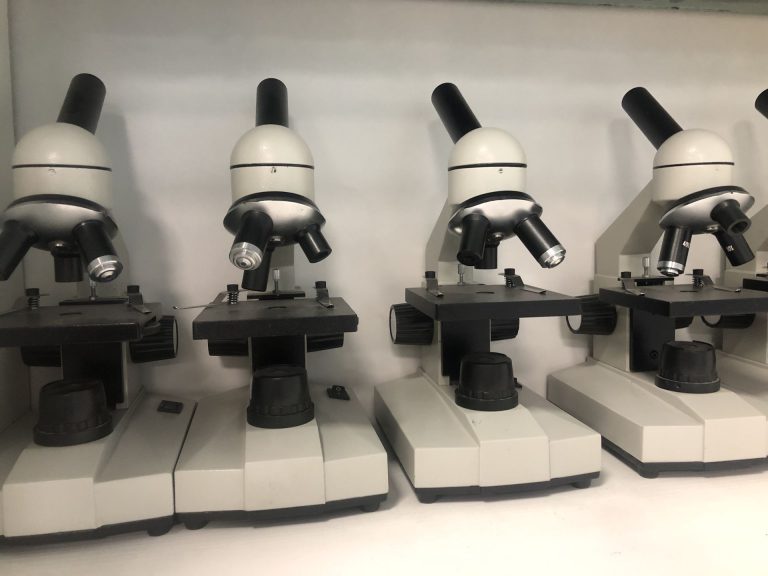 Microscopes alignés dans un laboratoire
